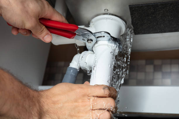 Best Carpet water damage restoration  in Queens Gate, PA