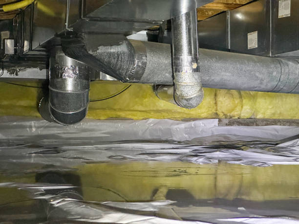 Best Mold removal after water damage  in Queens Gate, PA